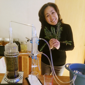 佐佐木景子プロフィール